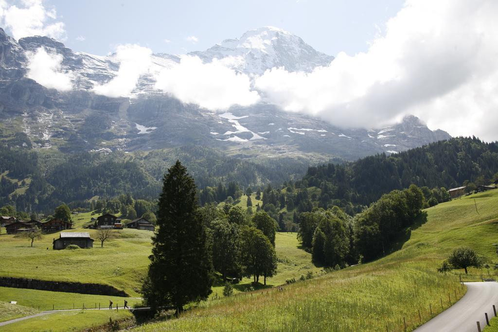Chalet Bodenwald Apartment Grindelwald Room photo