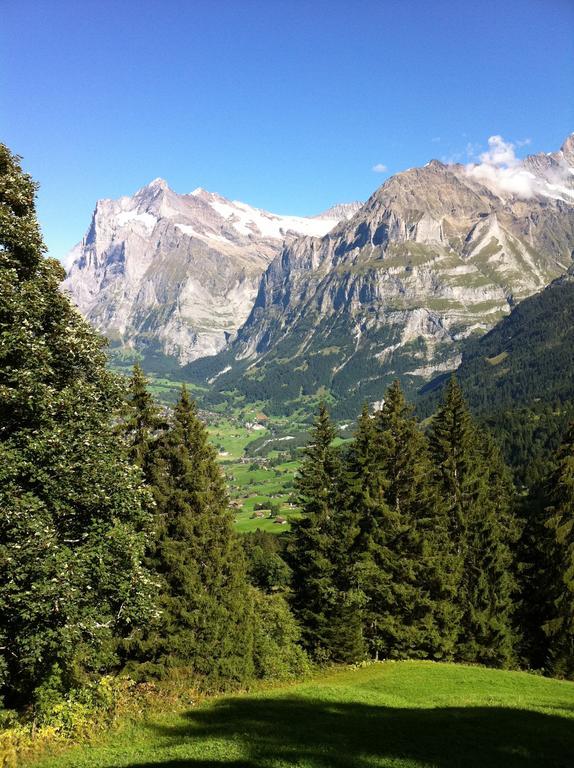 Chalet Bodenwald Apartment Grindelwald Room photo