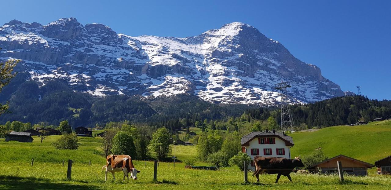 Chalet Bodenwald Apartment Grindelwald Exterior photo